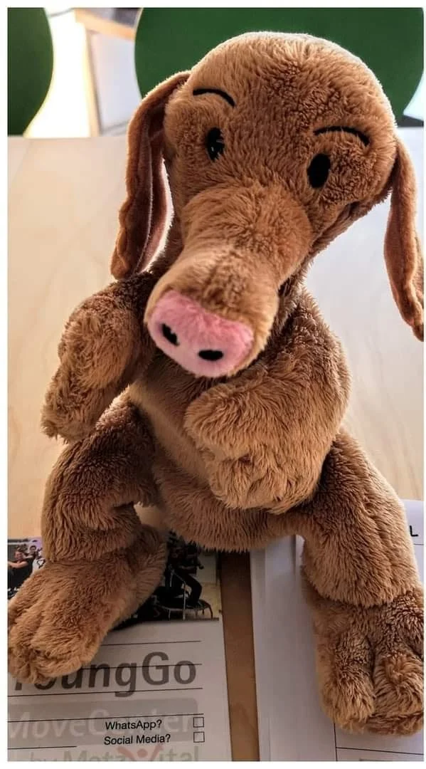 Schweinehorst, der Plüsch-Schweinehund von Metz-Vital